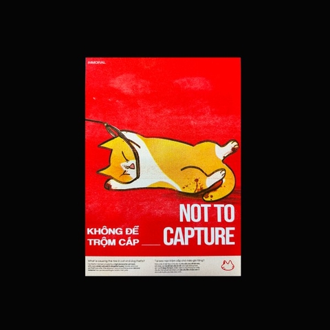 Tranh RIMIXSO To Shelter not to Capture