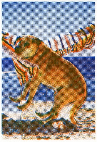 POSTCARD Con Chó We Do Good