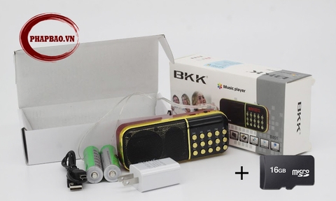 Máy nghe pháp BKK B851