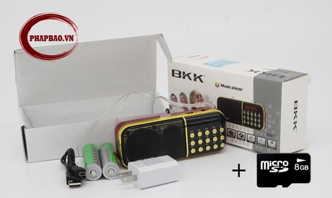 Máy nghe pháp BKK B851