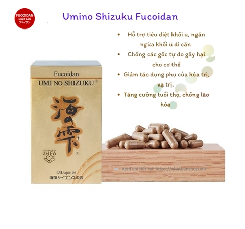 𝐅𝐔𝐂𝐎𝐈𝐃𝐀𝐍 𝐔𝐌𝐈 𝐍𝐎 𝐒𝐇𝐈𝐙𝐔𝐊𝐔 𝟏𝟐𝟎V NHẬT BẢN - PHÒNG CHỐNG VÀ HỖ TRỢ ĐIỀU TRỊ UNG THƯ