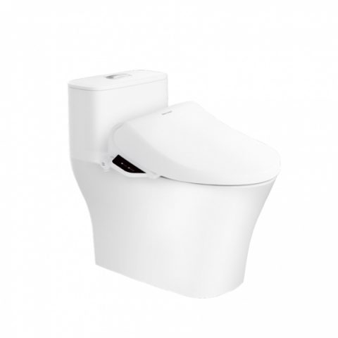Bồn Cầu American WP-1880PR