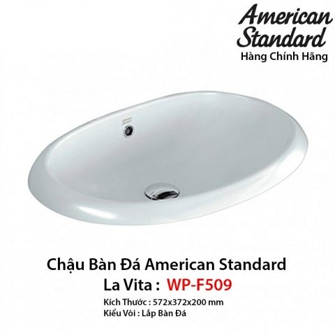 Chậu Lavabo WP-F509