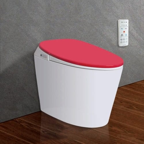 Bồn Cầu Thông Minh Viglacera V94RW