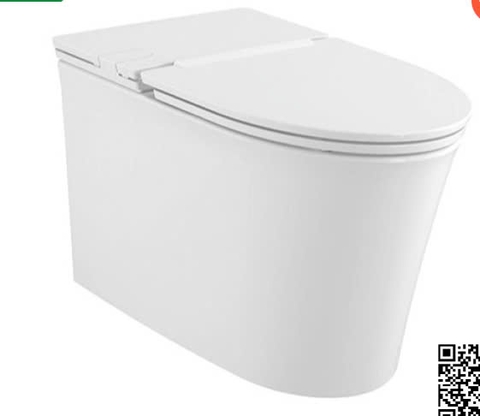 Bồn Cầu American Standard WP-3232 (WP3232)