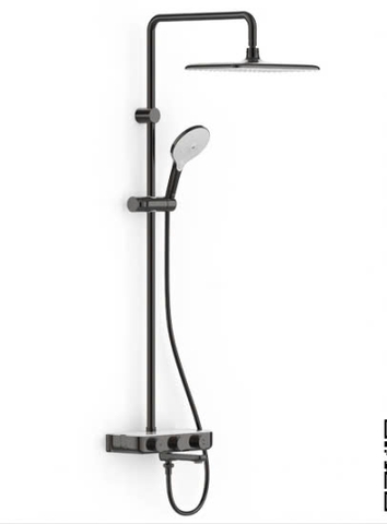 Sen Cây Nhiệt Độ American Standard WF-4956HG (WF4956HG) Màu Xám Đen