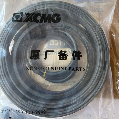 Gioăng đại tu xy lanh nâng hạ XE800