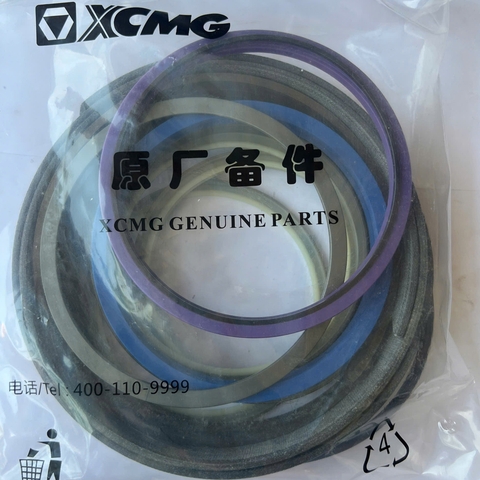 Gioăng đại tu xy lanh gầu  XE700