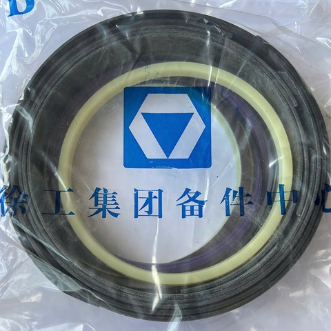 Gioăng đại tu xy lanh tay gầu XE900