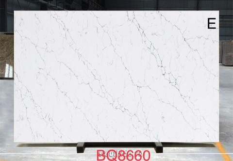 VICOSTON BQ8660