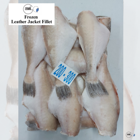 Frozen Leather Jacket Fillet