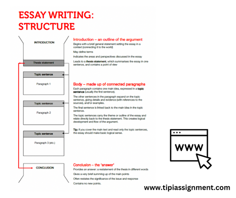 Hướng dẫn viết essay đạt điểm cao