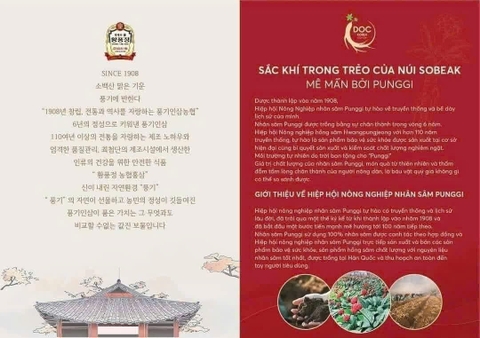 Hồng sâm tẩm mật ong- Hwang Pung Jung Honeyed Red Gingseng 300g