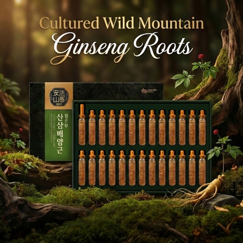 TPBS Nước rễ sâm Cultured Wild Mountain Ginseng Roots (20ml*30 ống)