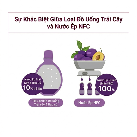 Nước ép mận khô HeyN 100% Organic Prune Stick 20g x 14 gói