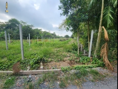 BÁN MẢNH ĐẤT VƯỜN - PHƯỜNG MỸ QUÝ