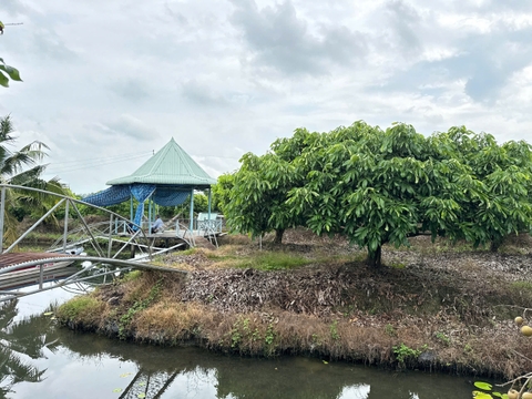 🌳 SIÊU PHẨM TRANG TRẠI SINH THÁI 5.3 HECTA – TỌA ĐỘ VÀNG ĐÓN ĐẦU CAO TỐC & KCN