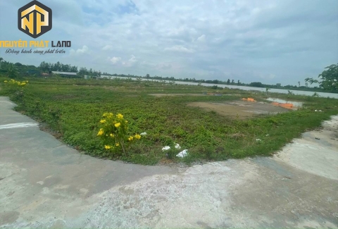 [NP26] Bán Đất ruộng Mỹ Thới lên được thổ