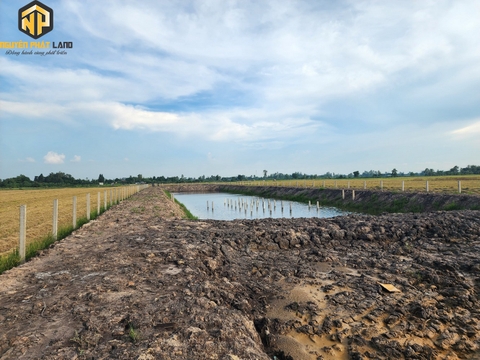 [NP21] Bán đất thổ cư và ruộng Rạch Cần Xây