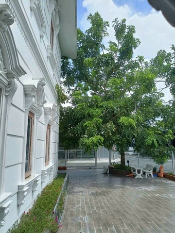 🏠 Bán Biệt Thự Mặt Tiền Đường Ỷ Lan - Khu Dân Cư Sao Mai Bình Khánh 3!