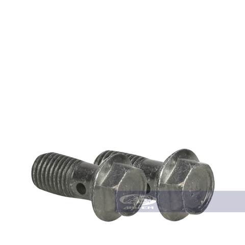 Ốc dầu zin-RGV120-0640