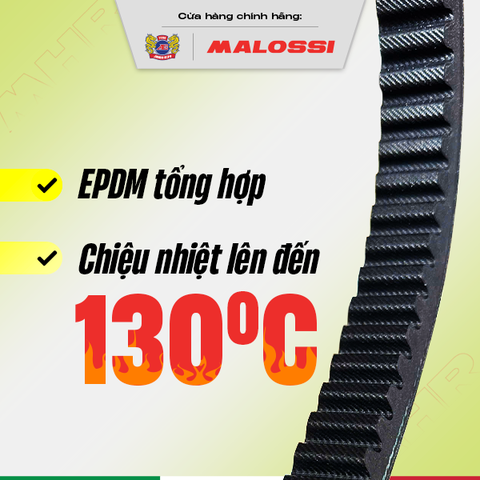 Dây curoa xe máy EPDM chịu nhiệt cao cấp Pro Malossi Honda SH Vision Air Blade Vario Lead PCX Scoopy