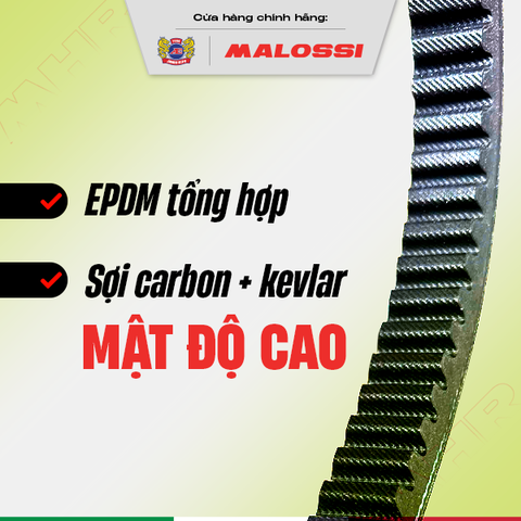 Dây curoa xe máy siêu bền Kevlar Pro Max Malossi Honda SH Vision Air Blade Vario Lead PCX Scoopy