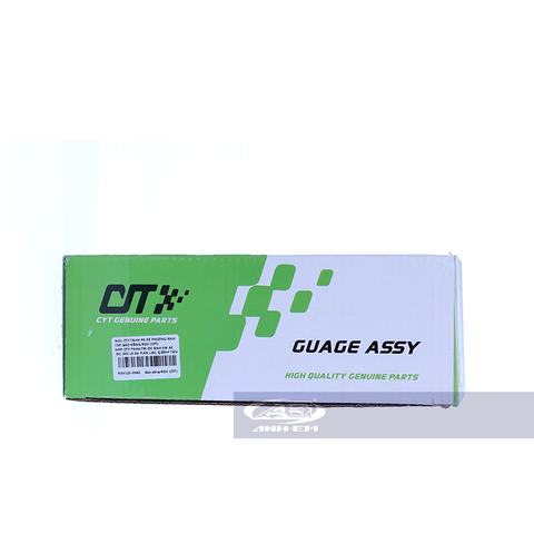 Báo xăng RGV (CYT) - RGV120-0043