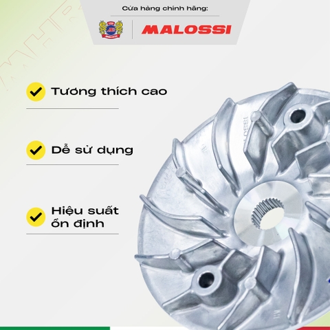 Combo chén bi cánh quạt bạc thau dầu graphite Malossi tem màu đỏ dành cho Honda