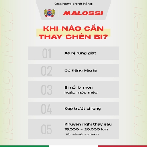 Chén Bi Malossi (A380 - Bạc thau dầu)