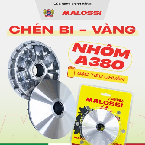 Chén bi A380 Malossi - Dành cho xe Honda