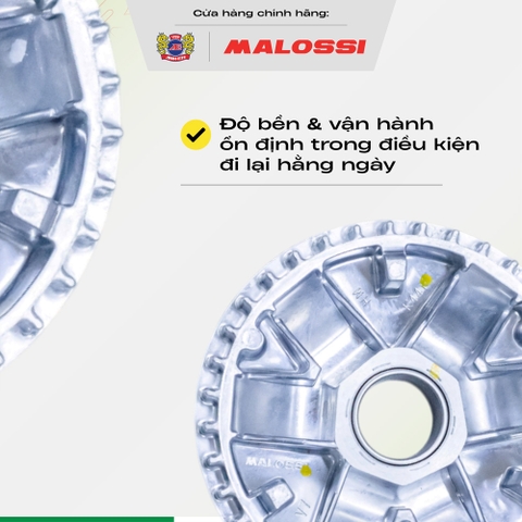 Chén bi Malossi ADC12 - dành cho dòng xe Honda