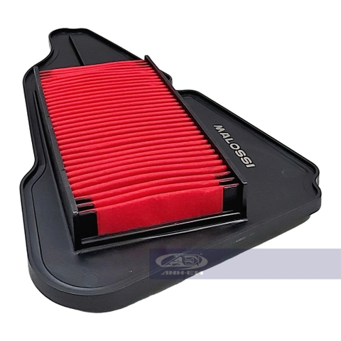 Lọc Gió Dầu Cao Cấp MALOSSI Yamaha Grande