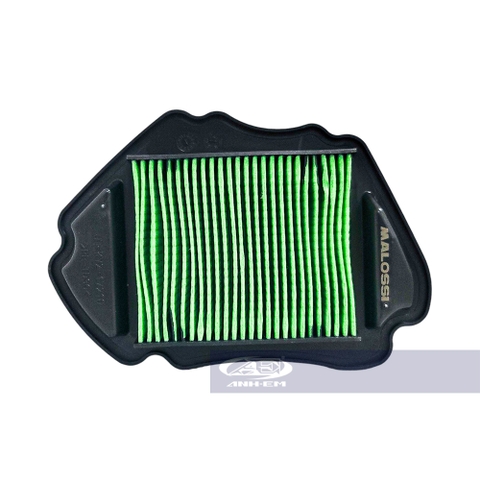 Lọc Gió Dầu Cao Cấp MALOSSI Future X 125, Wave 125 I