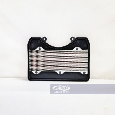 Lọc Gió Dầu (Giấy Lọc Cao Cấp) MALOSSI Yamaha Sirius FI