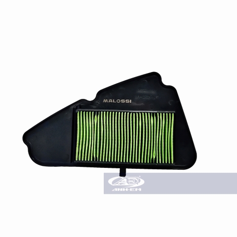 Lọc Gió Dầu (Giấy Lọc Cao Cấp) MALOSSI VISION New 2021