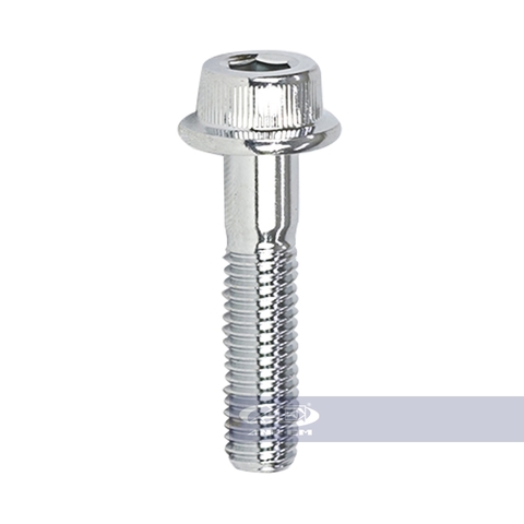 Ốc lục giác xi pô RGV (Zin)-RGV120-0341