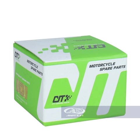 Sạc mới RGV (CYT) - RGV120-0794