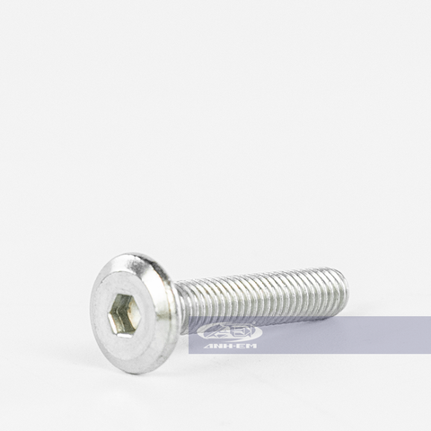 Ốc lục giác 6ly3P (Inox) Baga (Apido) - RGV120-0832
