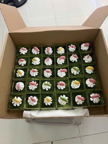 Tiramisu matcha size cup tiệc