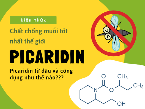 Nguồn gốc của chất chống muỗi tốt nhất thế giới Picaridin