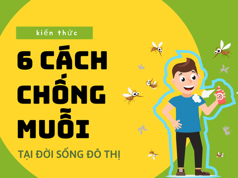 Các cách phòng bệnh sốt xuất huyết khi sống ở khu đô thị thành phố lớn mới nhất 2023