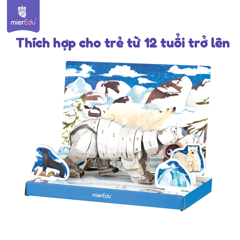Hộp Xếp Mô Hình 3D_Gấu Bắc cực