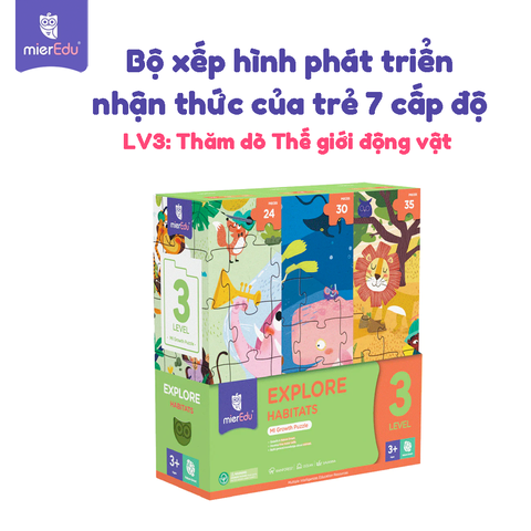 Bộ đồ chơi xếp hình 7 cấp độ mierEdu