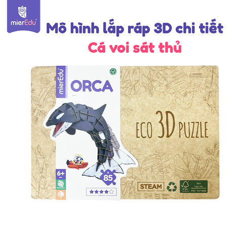 Bộ xếp mô hình 3D chi tiết mierEdu -Các loài cá to lớn ngoài đại dương