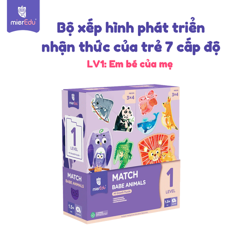 Bộ đồ chơi xếp hình 7 cấp độ mierEdu