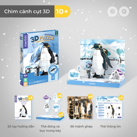 Bộ lắp ghép 3D chi tiết mierEdu - Phiên bản đặc biệt