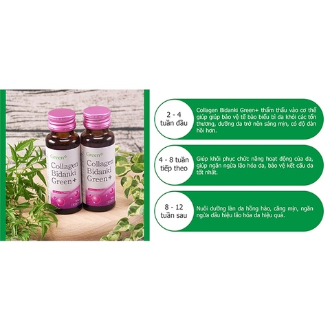 [Chính hãng] COLLAGEN Bidanki Green+ Nhật bản (dạng nước): Hấp Thụ Nhanh, Đẹp Da, Giữ Dáng, Hạn Chế Quá Trình Lão Hóa Da