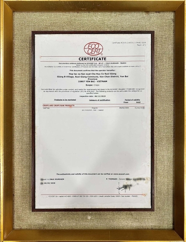 Tứ đại danh trà - Hộp sơn mài