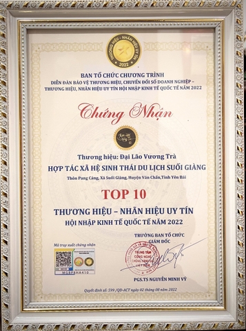 Trà Du lịch Yên Bái - Hoàng trà shan tuyết cổ thụ 50g